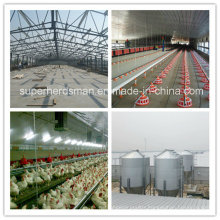 Prefabricated Structural Steel Chicken House Design